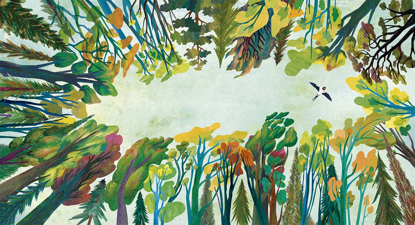 L'arbre et l'oiseau, Versant Sud Jeunesse, Illustration Teresa Arroyo Corcobado