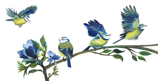 Bleu jardin Bleu jardin