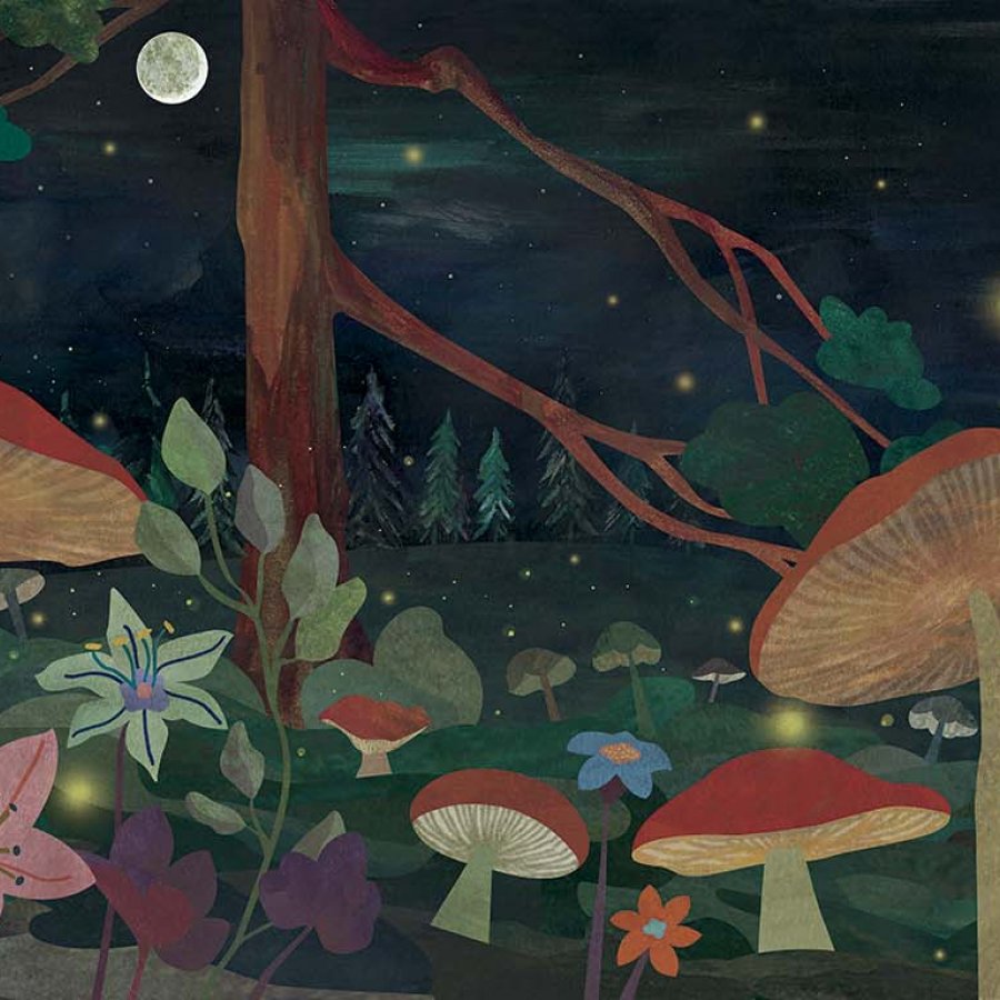 Forest, Illustration, Teresa Arroyo Corcobado